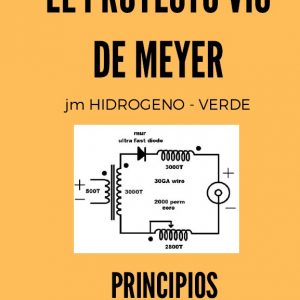 El proyecto VIC de meyer- principios basicos
